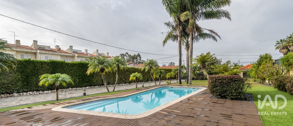 Moradia T3 em Rio Meão de 420 m²