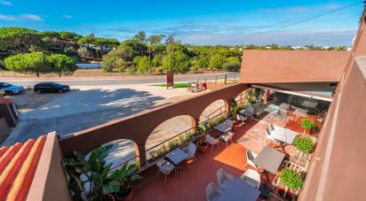 Shop / premises commercial in Almancil of 535 m²