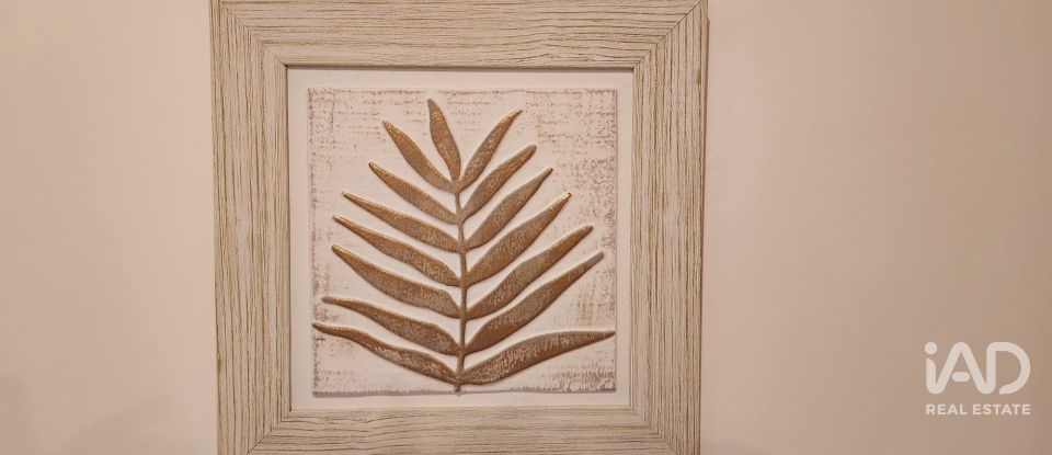 Apartamento T1 em Guia de 84 m²