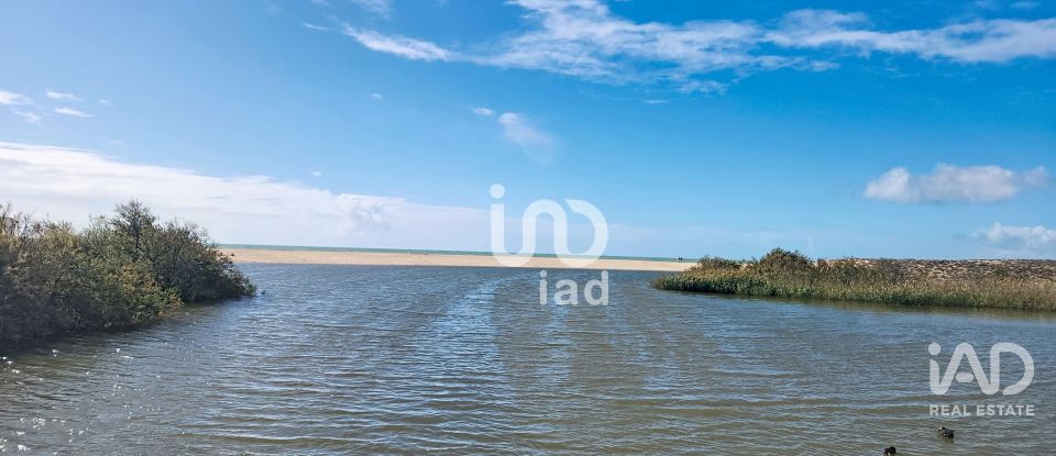 Apartamento T1 em Guia de 84 m²