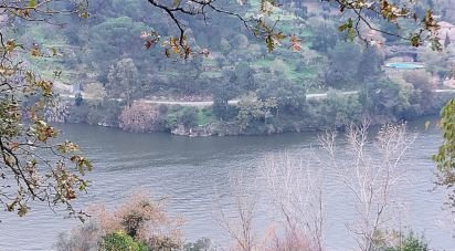 Terrain mixte à São Cristóvão de Nogueira de 10 410 m²