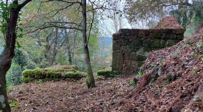 Terrain mixte à São Cristóvão de Nogueira de 10 410 m²