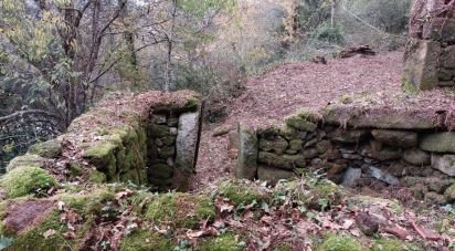 Terrain mixte à São Cristóvão de Nogueira de 10 410 m²