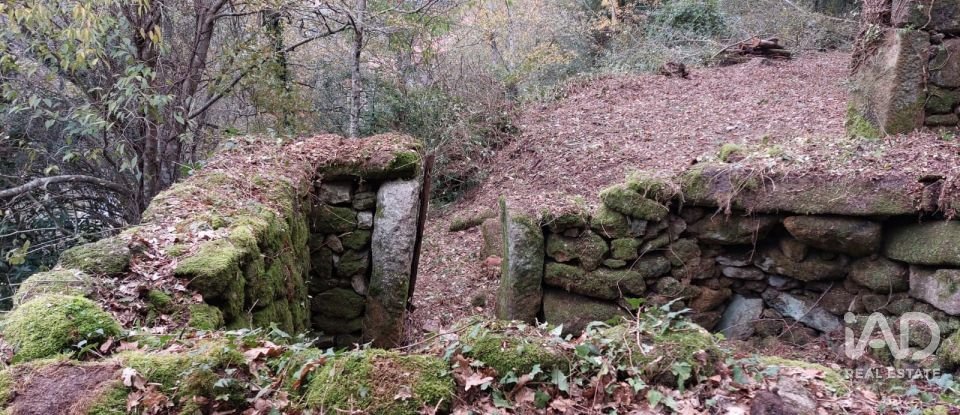 Terreno misto em São Cristóvão de Nogueira de 10 410 m²
