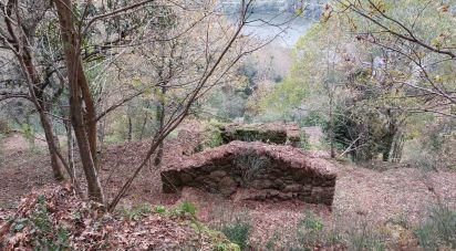 Terrain mixte à São Cristóvão de Nogueira de 10 410 m²