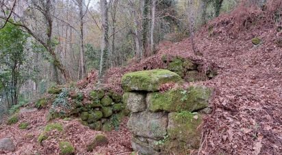 Terrain mixte à São Cristóvão de Nogueira de 10 410 m²