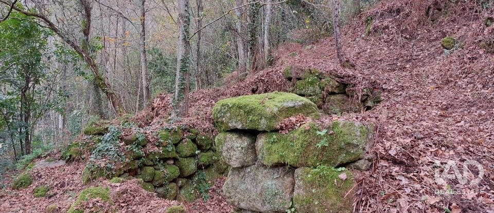 Terreno misto em São Cristóvão de Nogueira de 10 410 m²