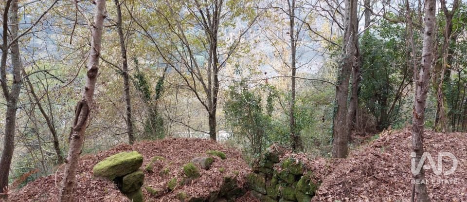 Terreno misto em São Cristóvão de Nogueira de 10 410 m²