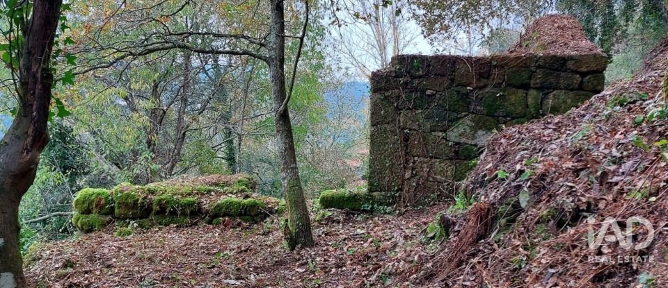 Terreno misto em São Cristóvão de Nogueira de 10 410 m²