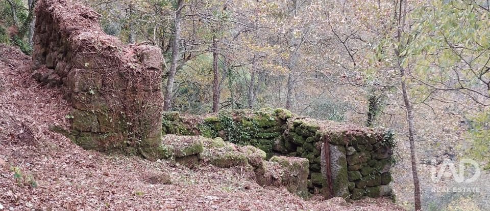 Terreno misto em São Cristóvão de Nogueira de 10 410 m²