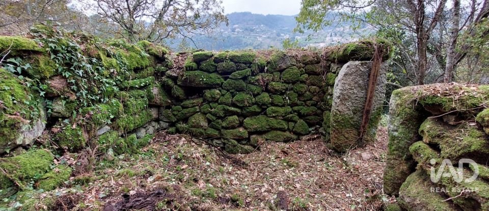 Terreno misto em São Cristóvão de Nogueira de 10 410 m²