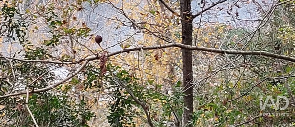 Terreno misto em São Cristóvão de Nogueira de 10 410 m²
