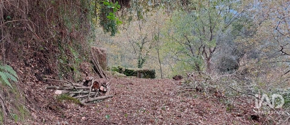 Terreno misto em São Cristóvão de Nogueira de 10 410 m²