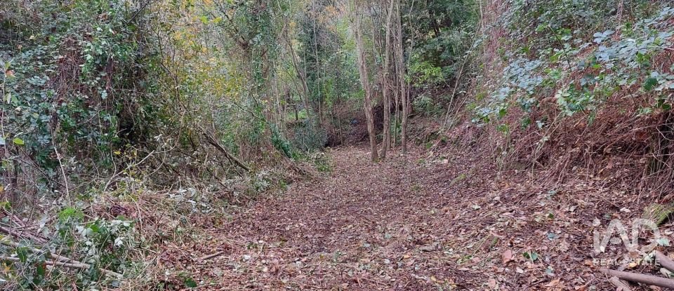 Terreno misto em São Cristóvão de Nogueira de 10 410 m²