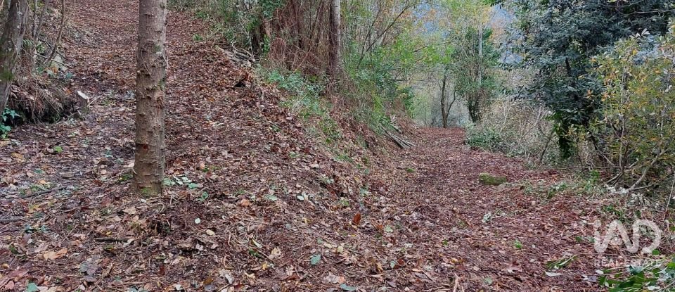 Terreno misto em São Cristóvão de Nogueira de 10 410 m²