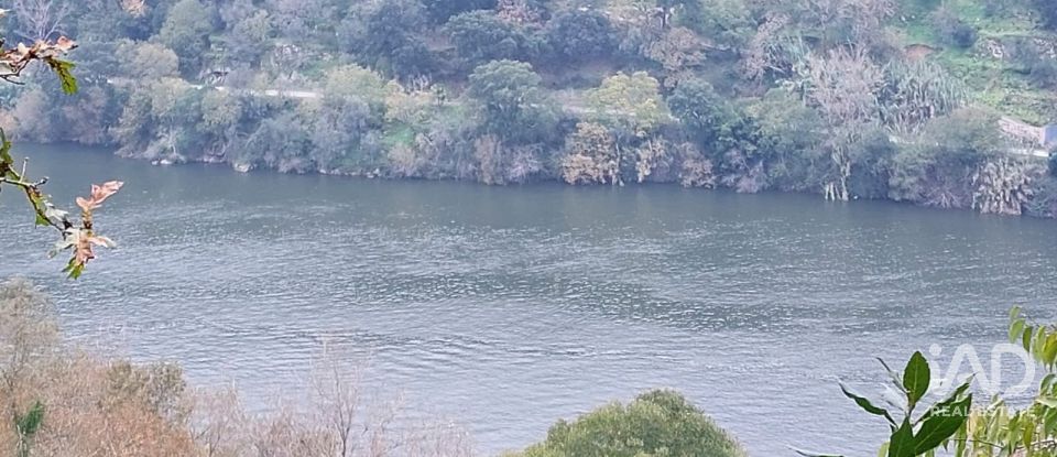 Terreno misto em São Cristóvão de Nogueira de 10 410 m²