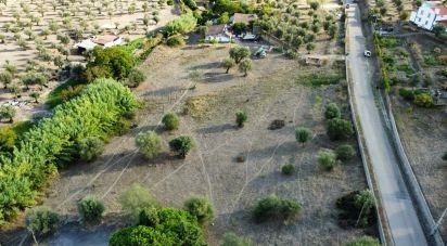 Ferme T2 à Sé e São Lourenço de 80 m²