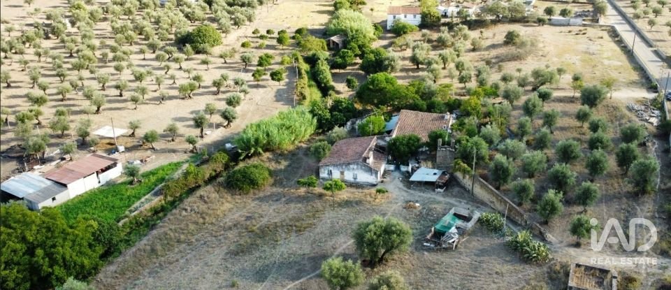 Quinta T2 em Sé e São Lourenço de 80 m²