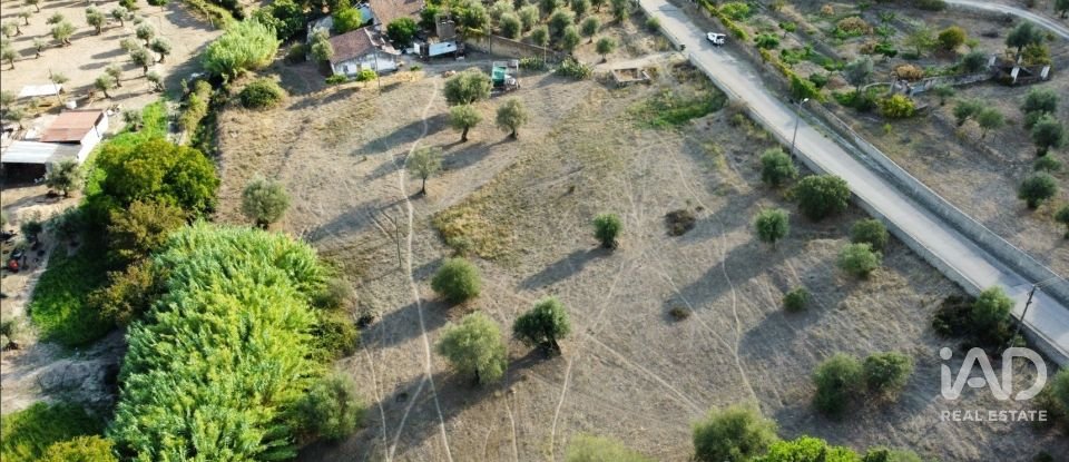 Quinta T2 em Sé e São Lourenço de 80 m²