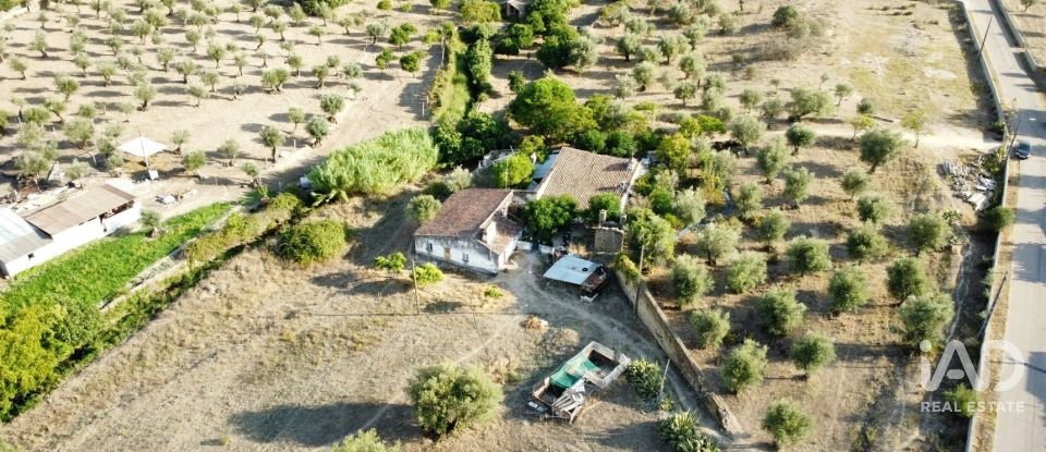 Quinta T2 em Sé e São Lourenço de 80 m²