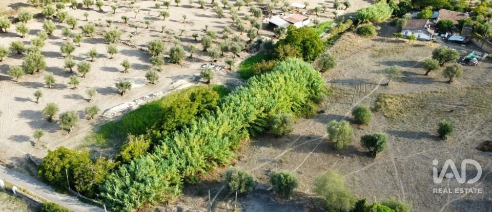 Quinta T2 em Sé e São Lourenço de 80 m²