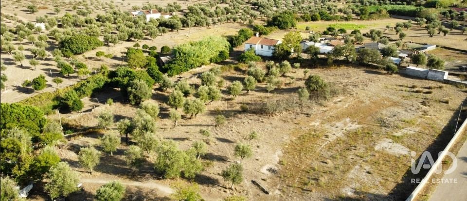 Quinta T2 em Sé e São Lourenço de 80 m²