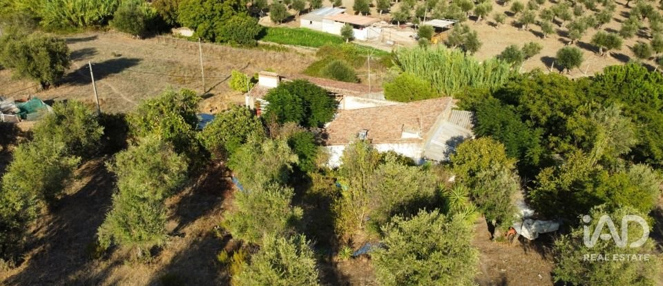 Quinta T2 em Sé e São Lourenço de 80 m²