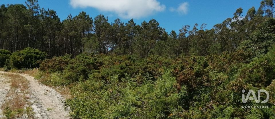 Terrain à Caldas da Rainha - Santo Onofre e Serra do Bouro de 33 200 m²