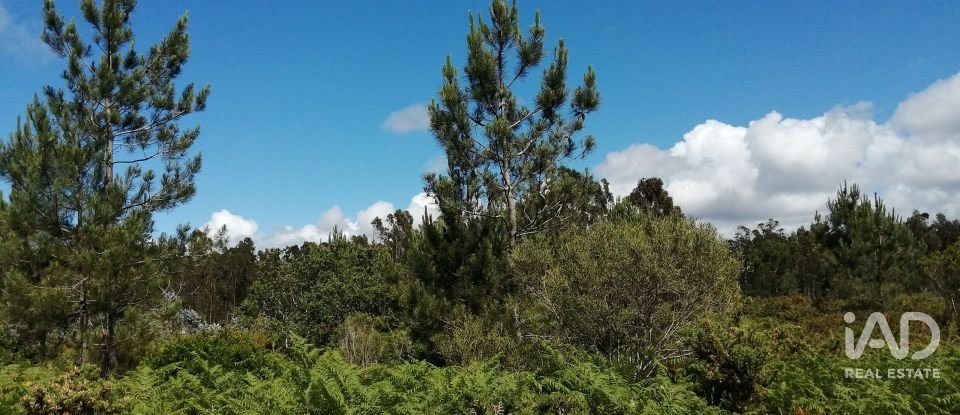 Terrain à Caldas da Rainha - Santo Onofre e Serra do Bouro de 33 200 m²