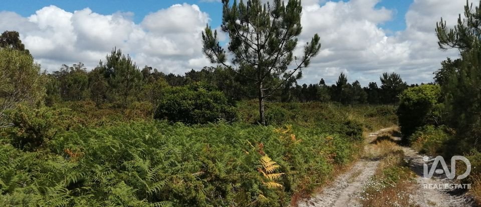 Terrain à Caldas da Rainha - Santo Onofre e Serra do Bouro de 33 200 m²