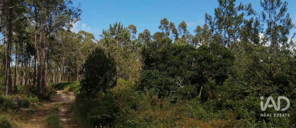 Terrain à Caldas da Rainha - Santo Onofre e Serra do Bouro de 33 200 m²