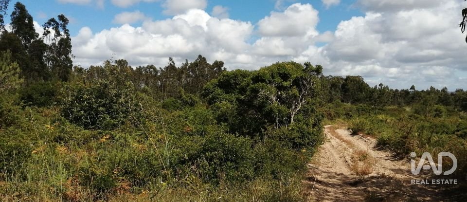 Terrain à Caldas da Rainha - Santo Onofre e Serra do Bouro de 33 200 m²