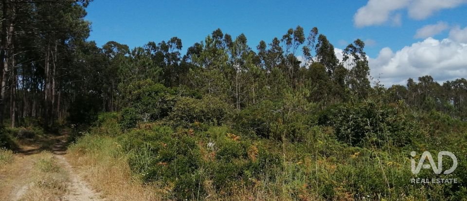 Terrain à Caldas da Rainha - Santo Onofre e Serra do Bouro de 33 200 m²