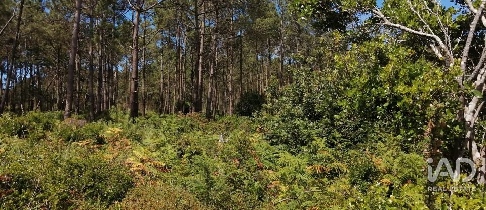 Terrain à Caldas da Rainha - Santo Onofre e Serra do Bouro de 33 200 m²
