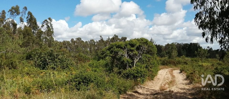 Terrain à Caldas da Rainha - Santo Onofre e Serra do Bouro de 33 200 m²