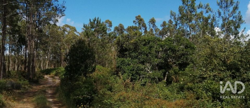 Terrain à Caldas da Rainha - Santo Onofre e Serra do Bouro de 33 200 m²