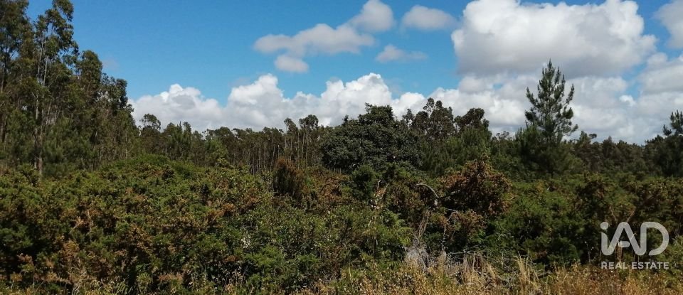 Terrain à Caldas da Rainha - Santo Onofre e Serra do Bouro de 33 200 m²