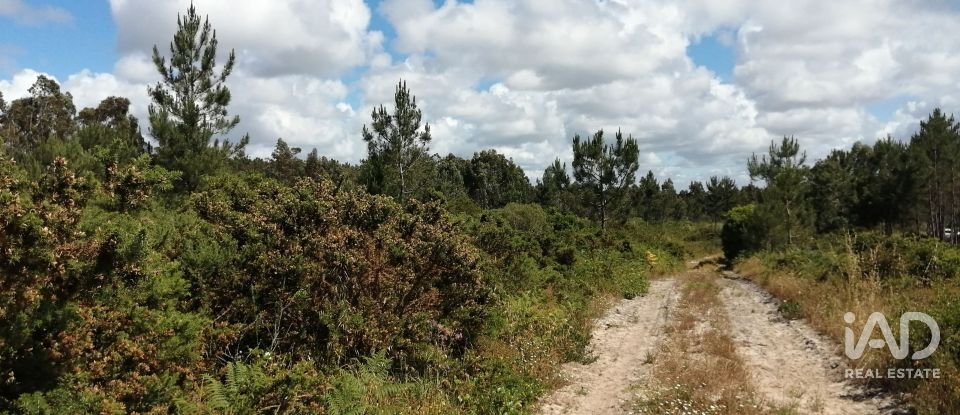 Terrain à Caldas da Rainha - Santo Onofre e Serra do Bouro de 33 200 m²