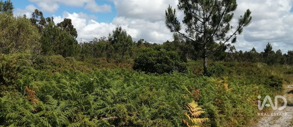 Terrain à Caldas da Rainha - Santo Onofre e Serra do Bouro de 33 200 m²