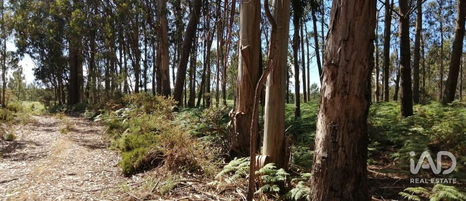 Terrain à Caldas da Rainha - Santo Onofre e Serra do Bouro de 33 200 m²