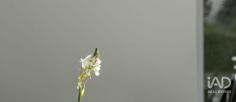 Boutique/Local commercial à São Gonçalo De Lagos de 92 m²