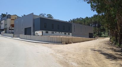 Surface diverse à Matas e Cercal de 1 052 m²