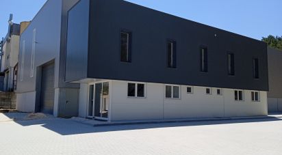 Surface diverse à Matas e Cercal de 1 052 m²