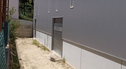 Surface diverse à Matas e Cercal de 1 052 m²