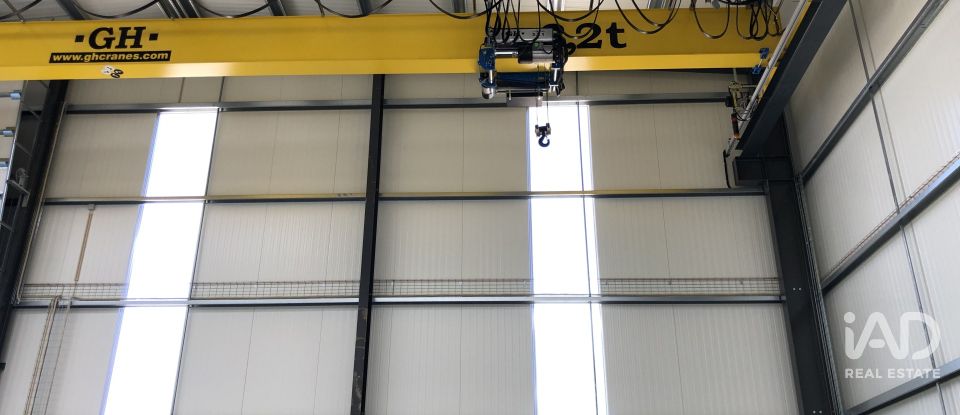 Surface diverse à Matas e Cercal de 1 052 m²