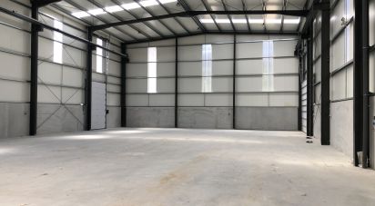 Surface diverse à Matas e Cercal de 1 052 m²