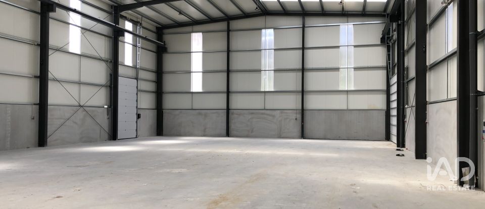 Surface diverse à Matas e Cercal de 1 052 m²