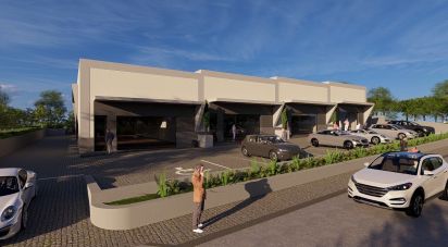 Boutique/Local commercial à Almancil de 300 m²