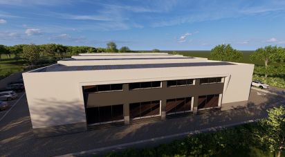 Boutique/Local commercial à Almancil de 300 m²