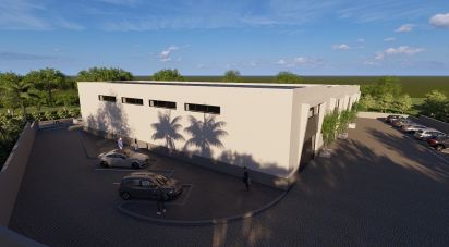 Boutique/Local commercial à Almancil de 300 m²